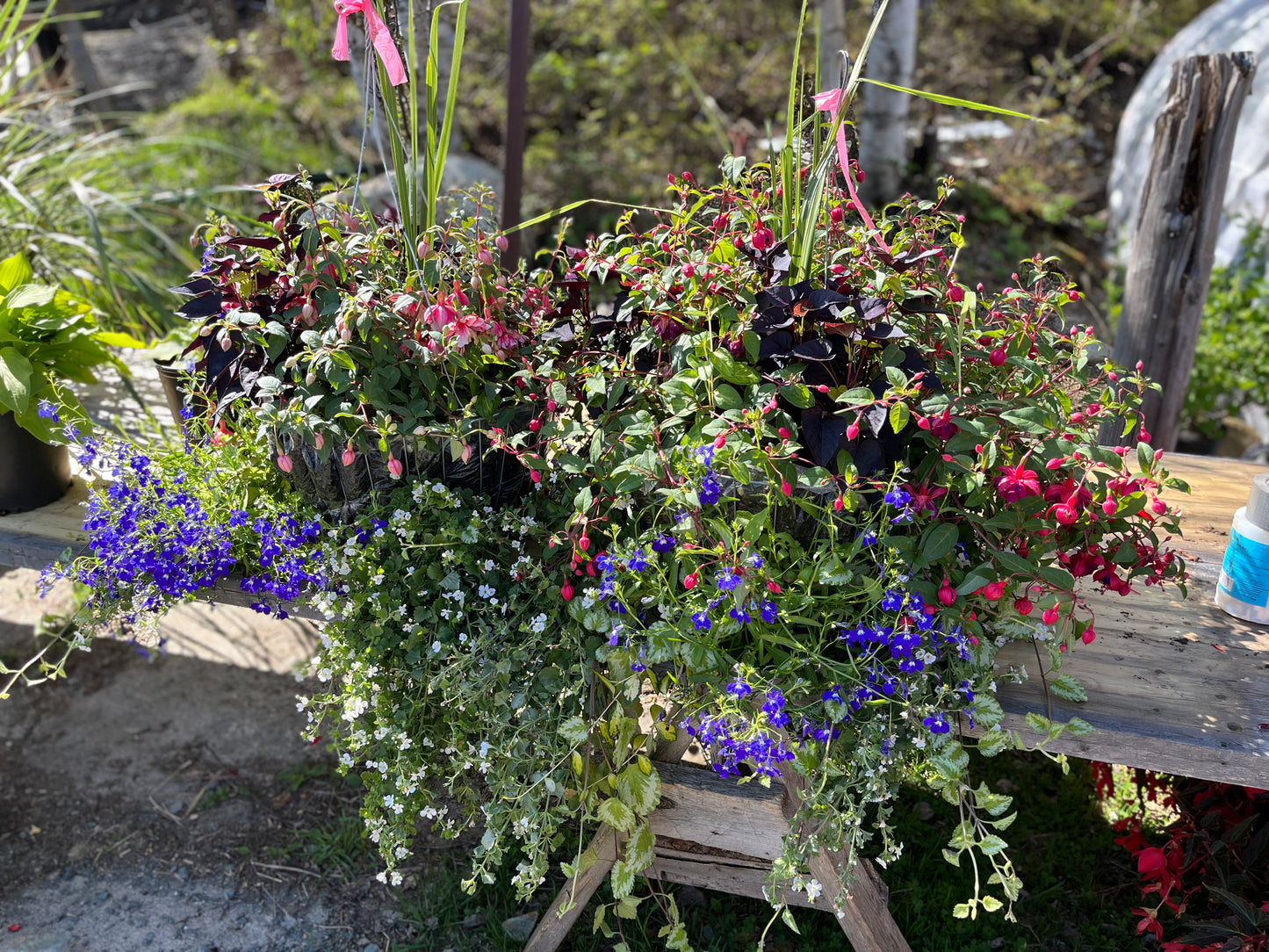 Arrangements floraux personnalisés
