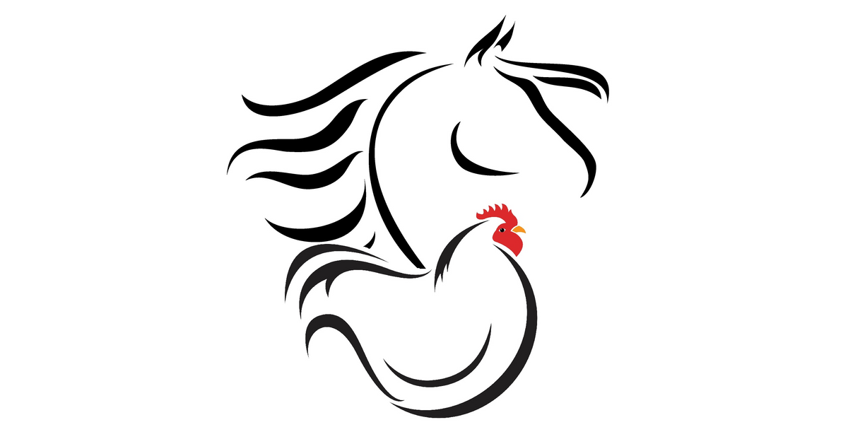 Sumac aromatique Lacette – Rancho Vallée