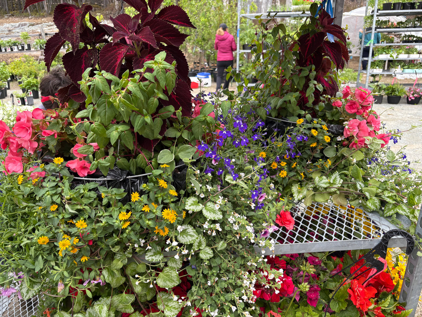 Arrangements floraux personnalisés