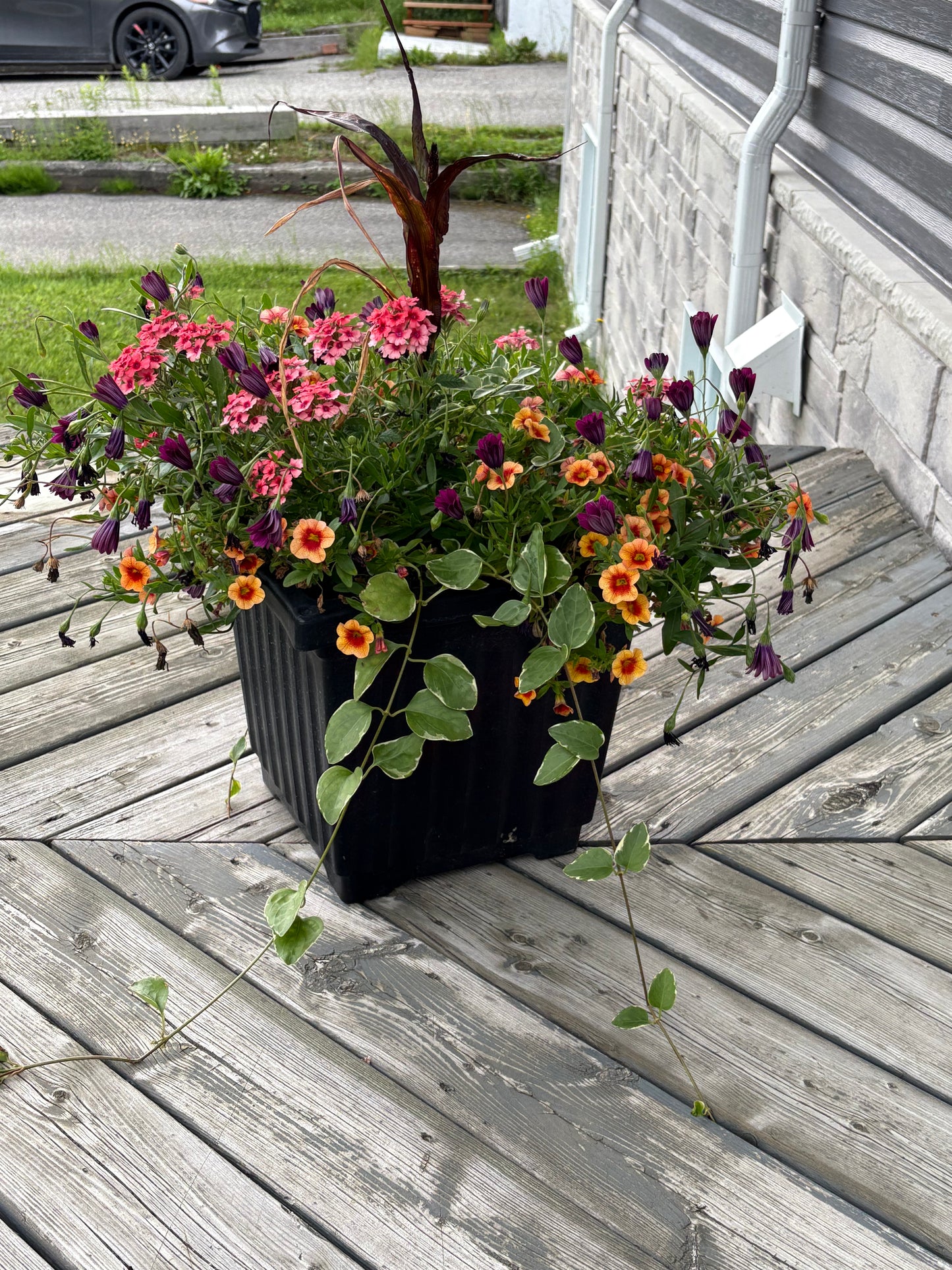 Arrangements floraux personnalisés