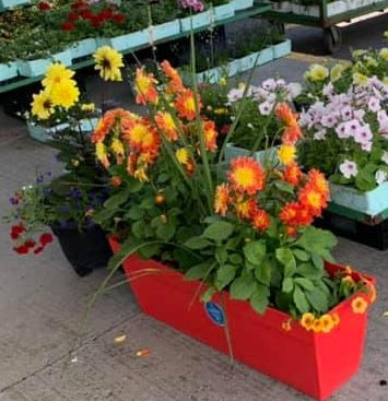 Arrangements floraux personnalisés